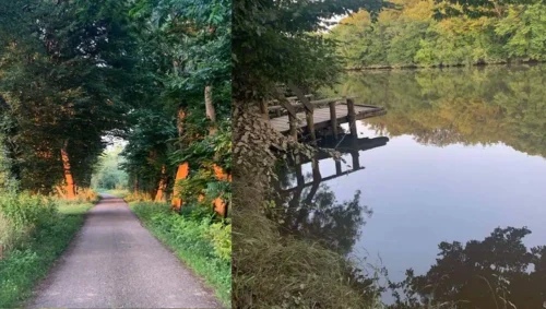 randonnée nature Saône