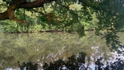 tunnel port de Savoyeux