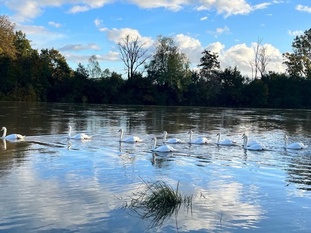 La plage Autet en Automne Haute-Saône nature