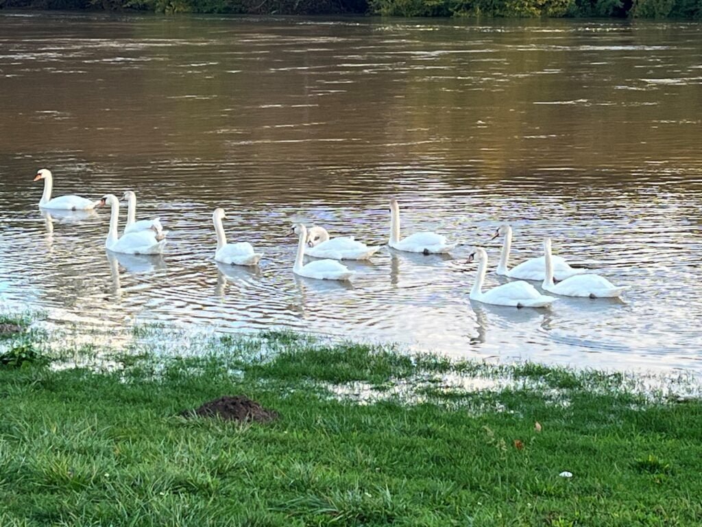 La plage Autet en Automne Haute-Saône nature