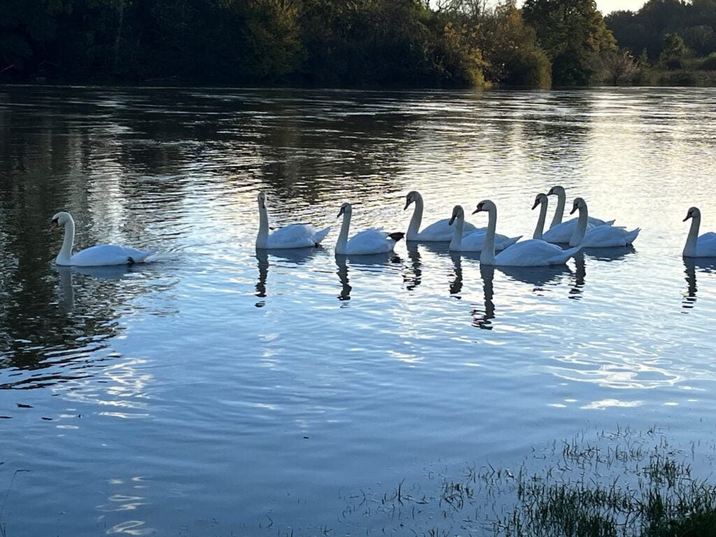 La plage Autet en Automne Haute-Saône nature