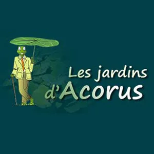 les jardin aquatique ACORUS